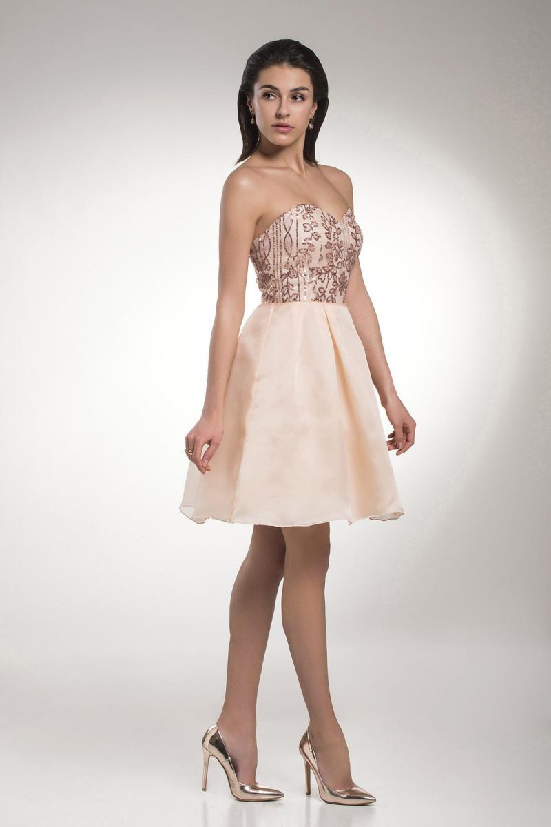 adjer-ss-19-11